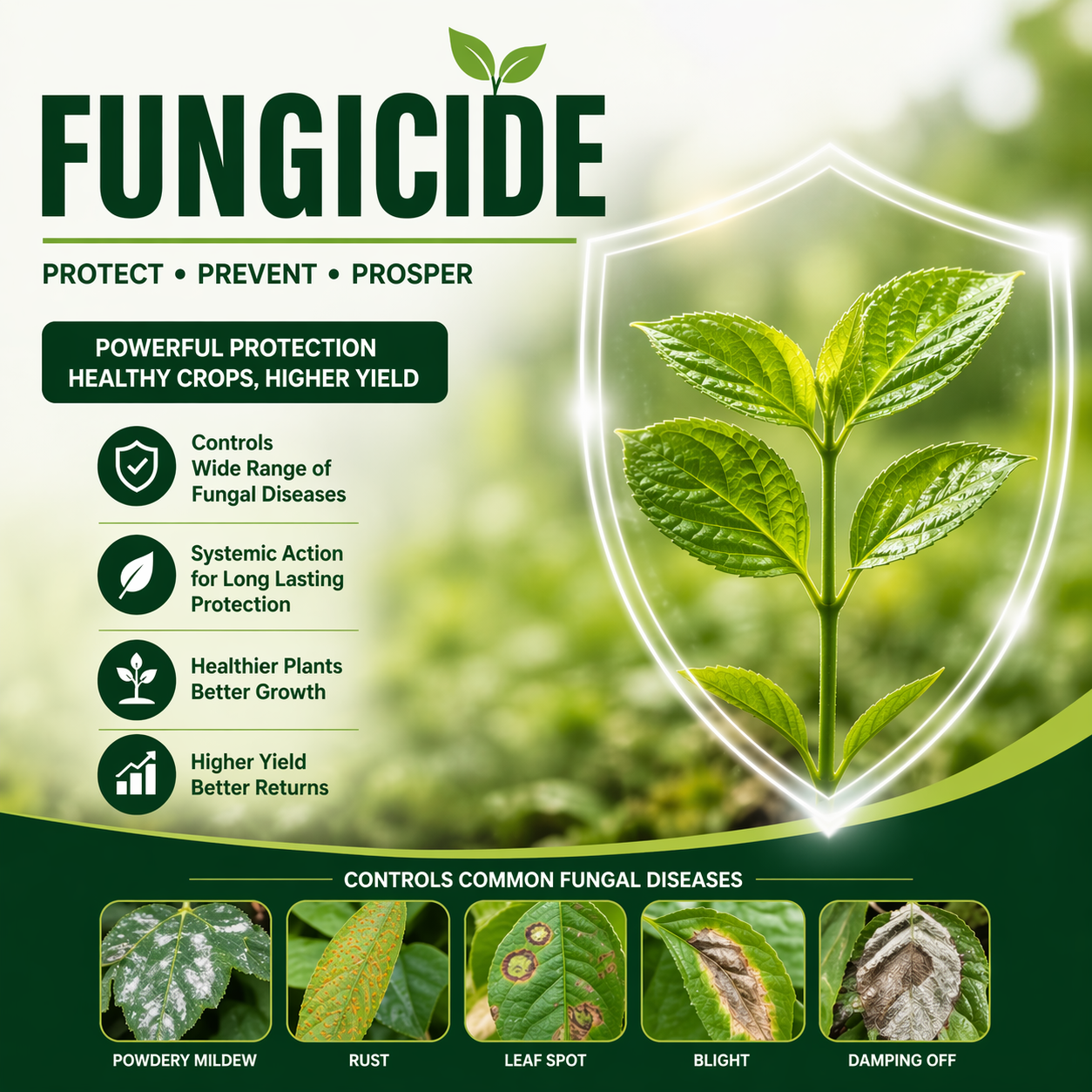 FUNGICIDE