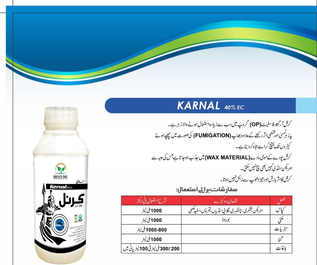 Kernal