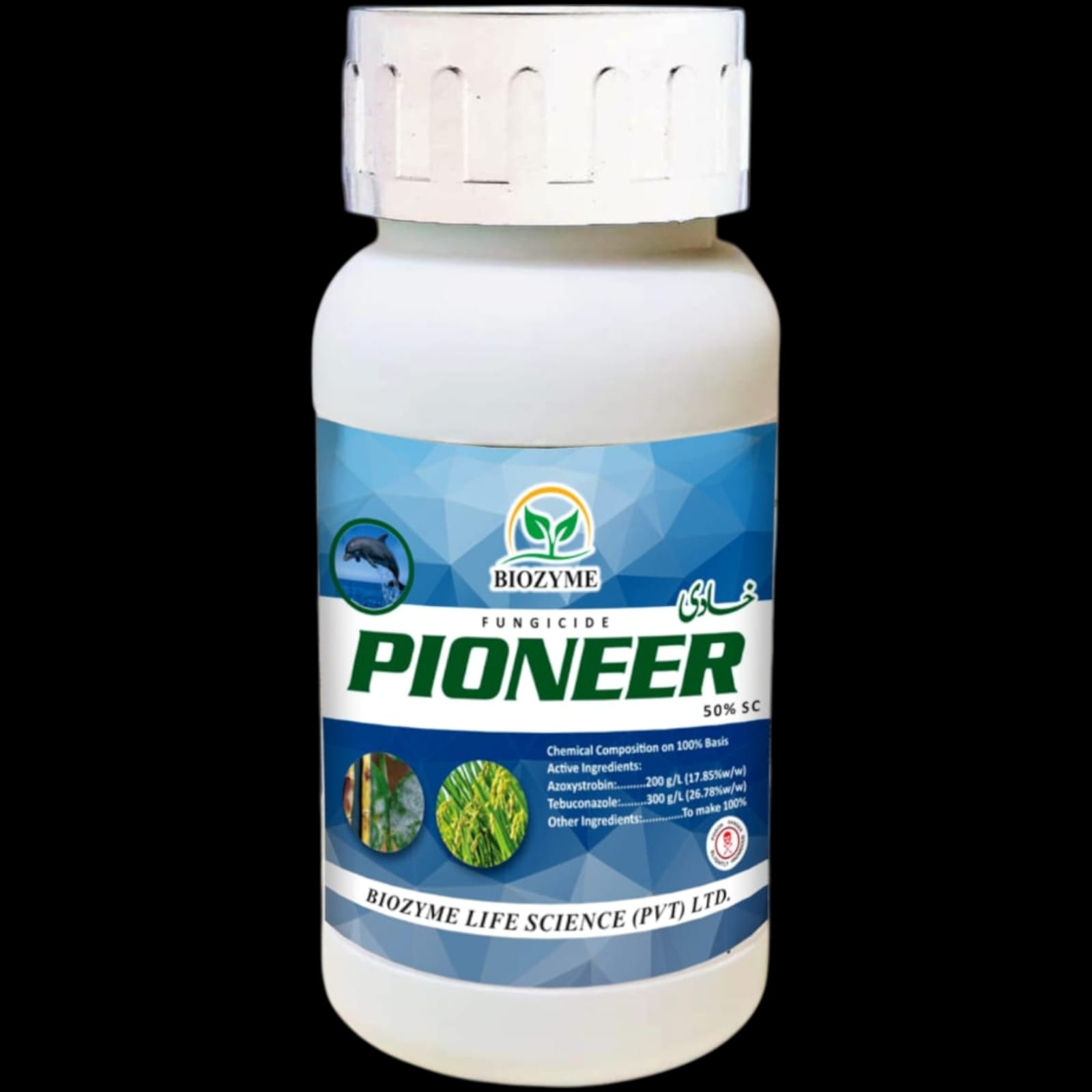poineer