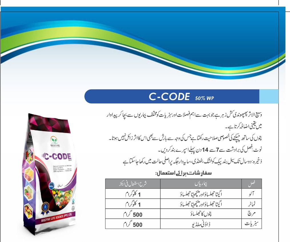 c code